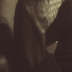 Pappi